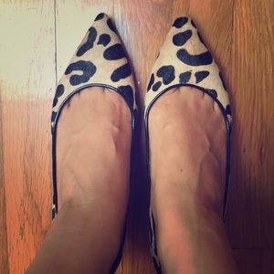 Steve Madden leopard pointy heels